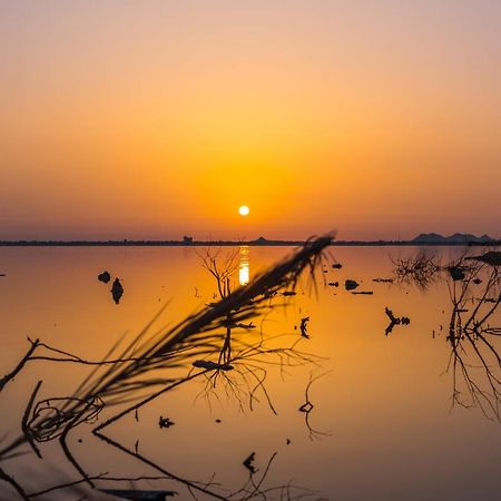 Taghaghien Island Resort Siwa Oasis المظهر الخارجي الصورة