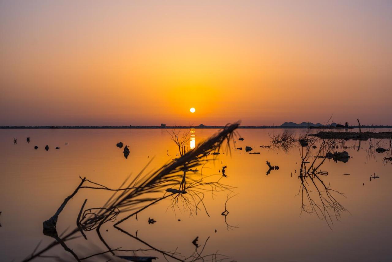 Taghaghien Island Resort Siwa Oasis المظهر الخارجي الصورة