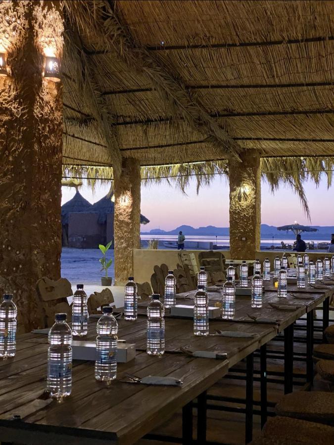 Taghaghien Island Resort Siwa Oasis المظهر الخارجي الصورة