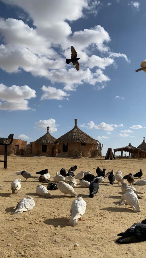 Taghaghien Island Resort Siwa Oasis المظهر الخارجي الصورة